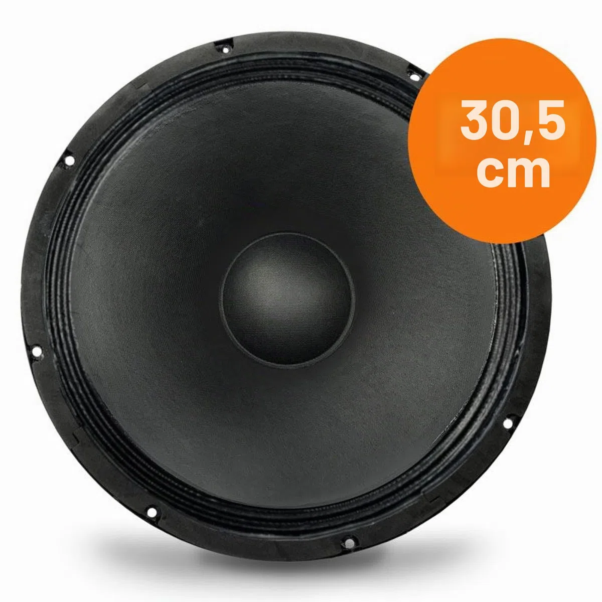 Audibax GR12-AR - Woofer Professionale da 12 Pollici - Altoparlante a Sospensione Rigida - Subwoofer per Auto - Impedenza 8 Ohm - Potenza RMS 150W con Massima 300W - Altoparlanti Coassiali