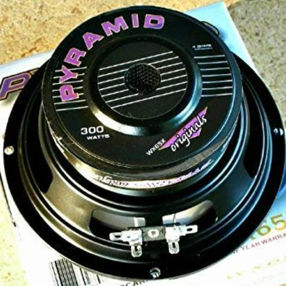 KIT SET PER PYRAMID WX65X 1 woofer altoparlante diffusore da 16,5 cm 165 mm 6,5" di diametro, da 150 watt rms e 300 watt max, impedenza 4 ohm, per auto 1 pezzo