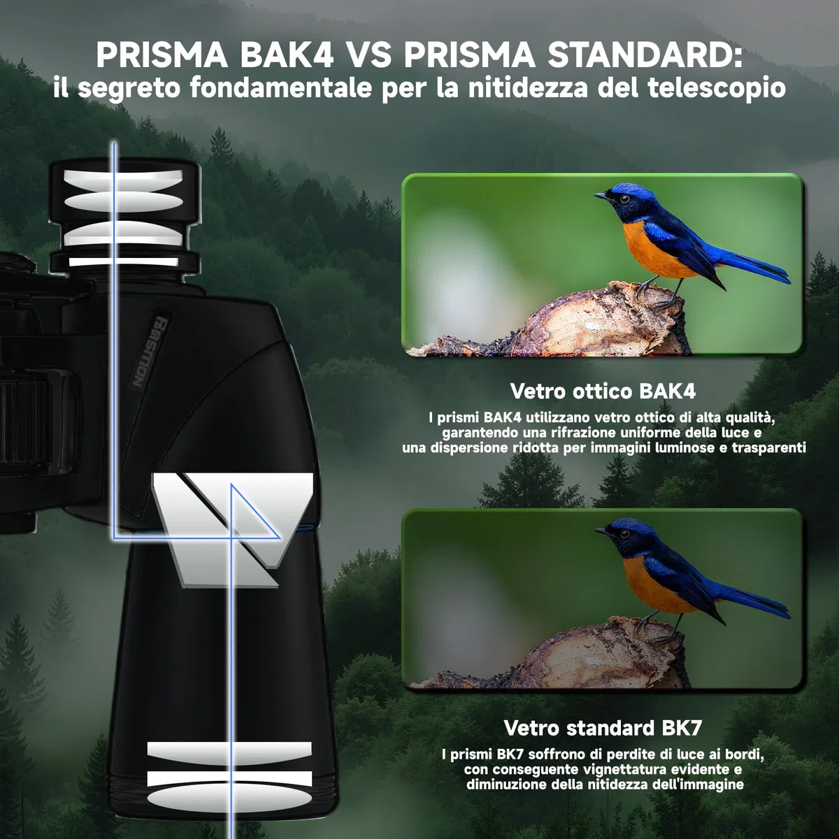 Binocolo 10x50 per Birdwatching e Astronomia - Prismi BAK-4, Lenti FMC, Impermeabile