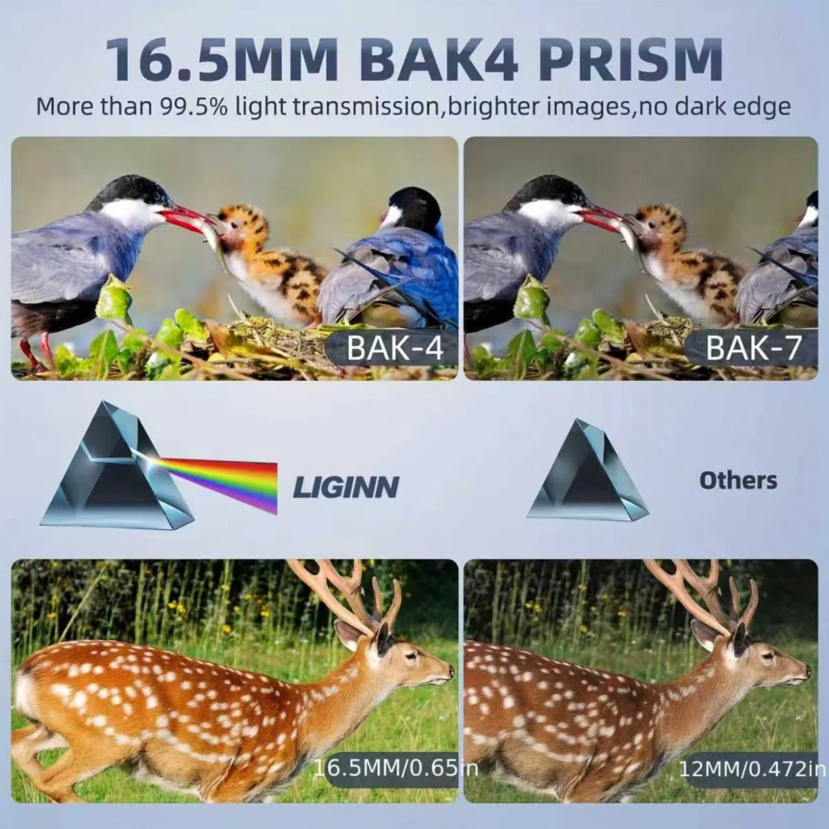 Binocolo 12 x 50, Binocolo Professionale per Adulti, Prismi BaK4 e Lente FMC, Binocoli potenti, per Bird Watching, Arrampicata, Viaggi, Giochi, Concerti