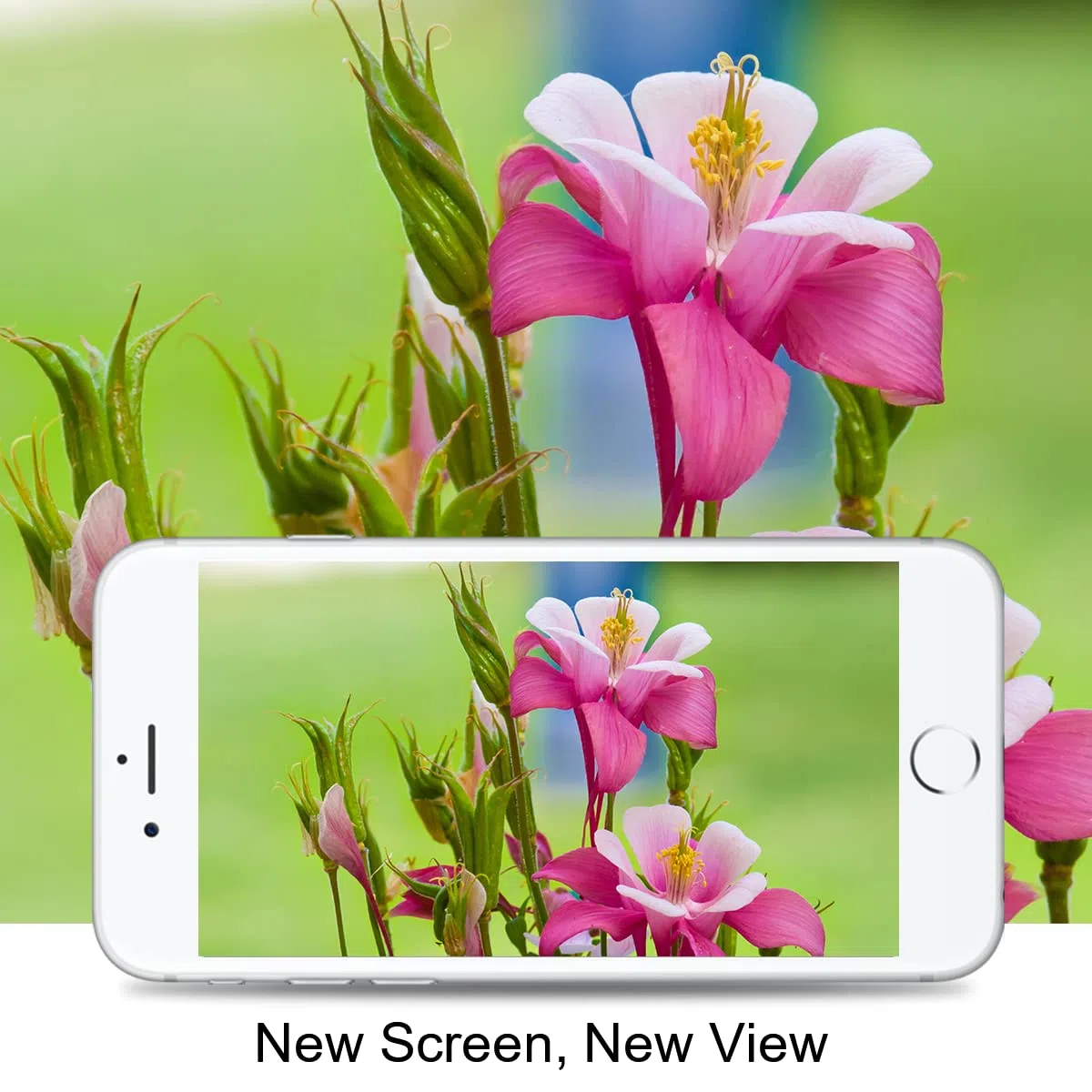 Display per iPhone 8 Plus Schermo, 5,5 Pollici LCD Sostituzione Touch Screen Vetro Schermo Kit Completo Parti di Ricambio con Strumenti di Riparazione (Bianco)