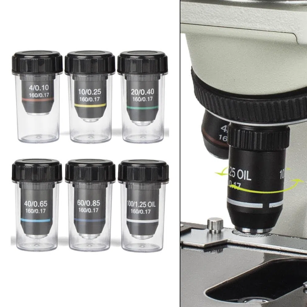 Obiettivo acromatico 195 per microscopi biologici, caratteristiche immersione in olio e design elastico per una visione sicura da 4X a 100X ingrandimento (20X)