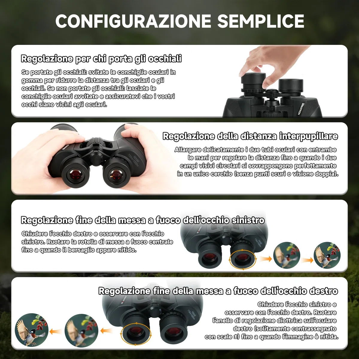 Binocolo 10x50 per Birdwatching e Astronomia - Prismi BAK-4, Lenti FMC, Impermeabile