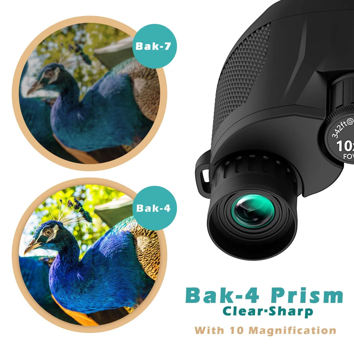 Binocolo 10x25, Binocolo Professionale, con Prisma BaK4 e Lente FMC, Alta potenza Binocolos Compatto,per Birdwatching, Escursionismo, Caccia, Visite, Teatro