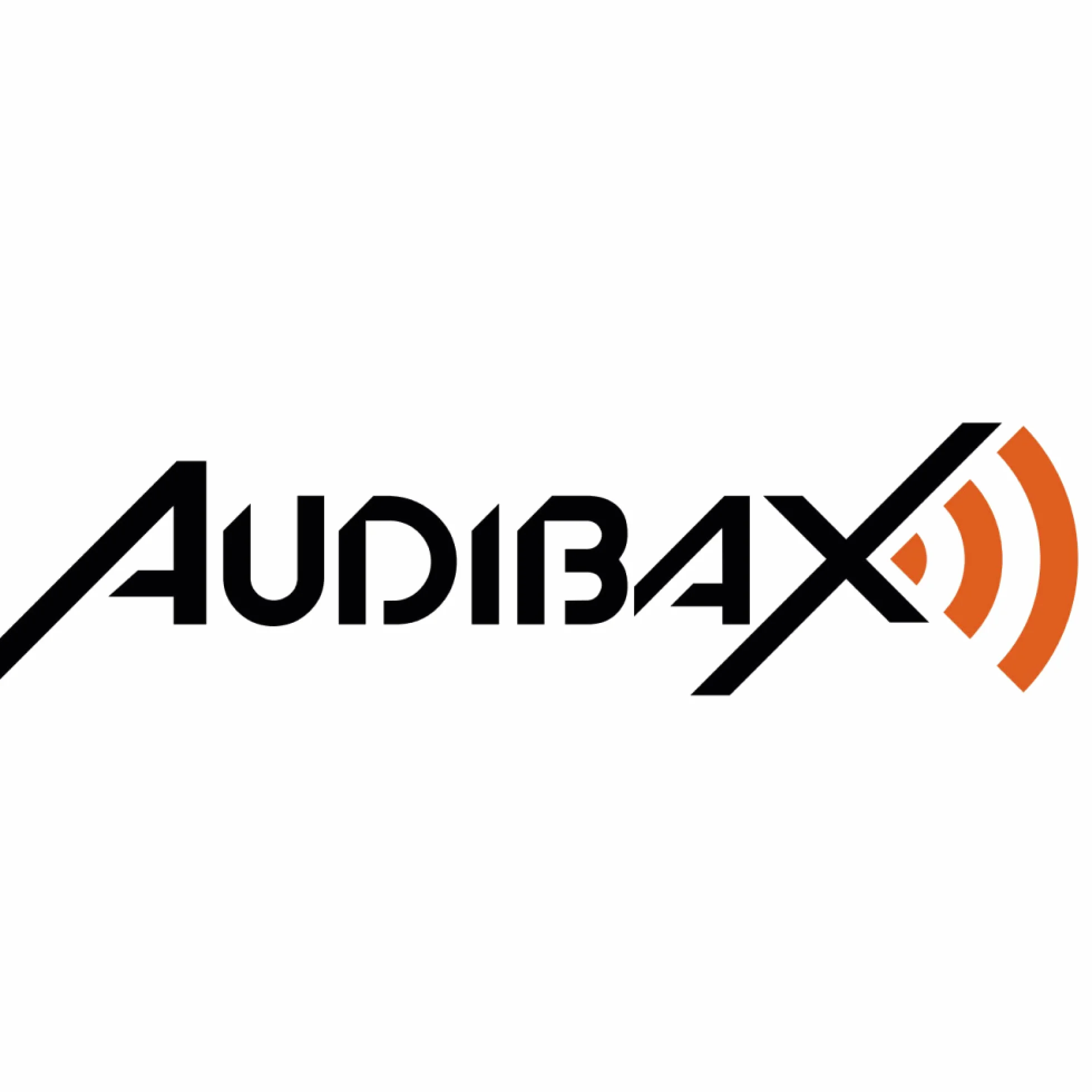 Audibax GR12-AR - Woofer Professionale da 12 Pollici - Altoparlante a Sospensione Rigida - Subwoofer per Auto - Impedenza 8 Ohm - Potenza RMS 150W con Massima 300W - Altoparlanti Coassiali