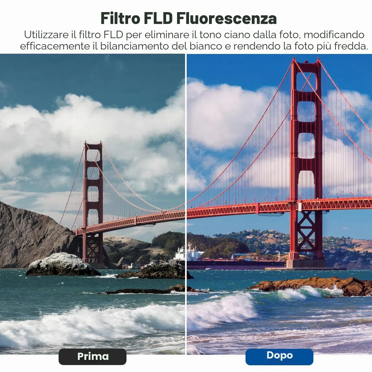 Neewer - Filtri fotografici, per obiettivo da 55 mm, professionali UV/CPL/FLD e filtro a densità neutra ND (ND2/ND4/ND8), per Sony A37 A55 A57 A65 A77 A100