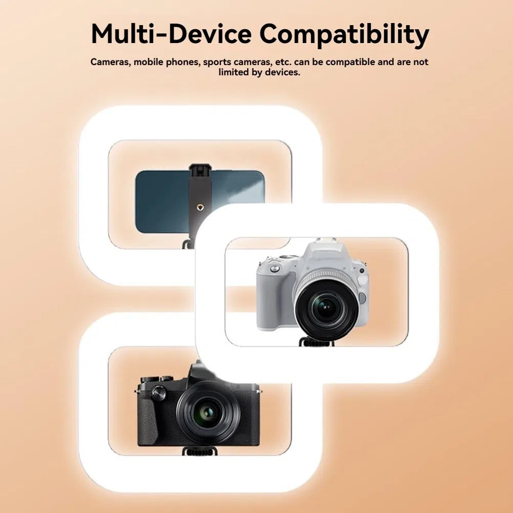 A LED Portatile Ricaricabile A Mano per la Luce di Riempimento, Ideale per la Trasmissione Live su Cellulare e la Fotografia da Tavolo.