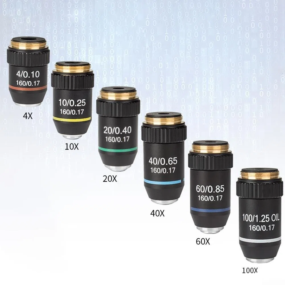 Obiettivo acromatico 195 per microscopi biologici, caratteristiche immersione in olio e design elastico per una visione sicura da 4X a 100X ingrandimento (20X)