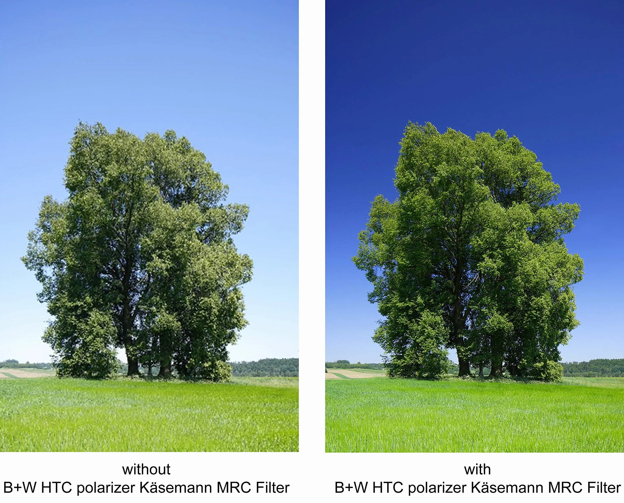 B+W Basic Circular Polarising Filter MRC 82mm - Sostituisce F-Pro 66-1081903